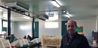 Joaquim Tavares – o empresário que não gostava da escola Empresário