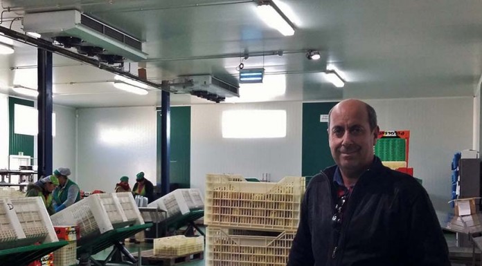 Joaquim Tavares – o empresário que não gostava da escola Empresário