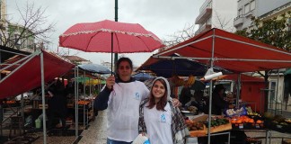 Chuva prejudicou campanha do Banco Alimentar na Praça da Fruta Banco Alimentar