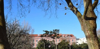 Agência de viagens escolhe Caldas da Rainha para programa de Natal Parque D. Carlos I