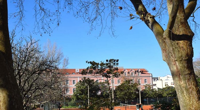 Agência de viagens escolhe Caldas da Rainha para programa de Natal Parque D. Carlos I