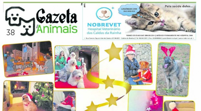 Gazeta dos Animais Gazeta dos animais