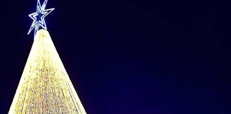 Foto da VMER das Caldas ganha concurso nacional INEM