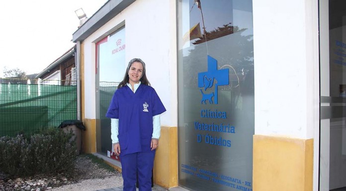 Abriu uma clínica veterinária em Óbidos Joana Bernardino