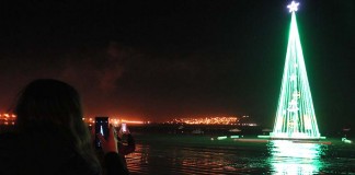 Árvore flutuante foi ligada em São Martinho arvore Natal