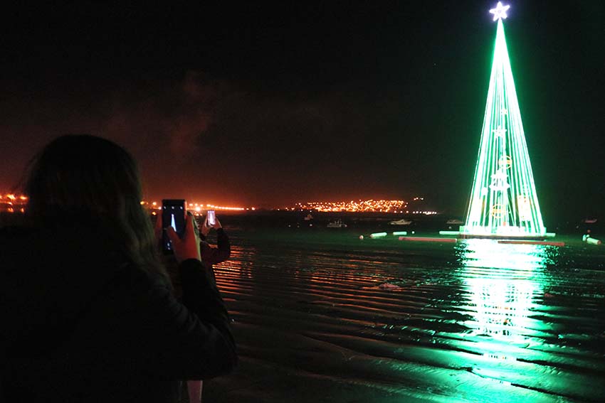 Árvore flutuante foi ligada em São Martinho