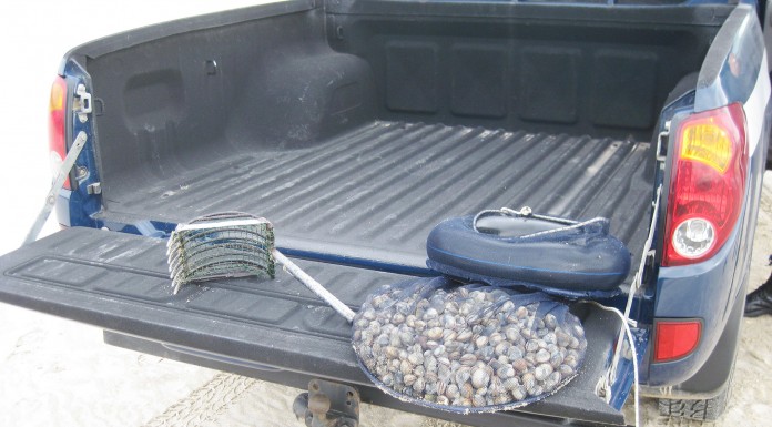 Pesca ilegal na mira das autoridades Berbigao