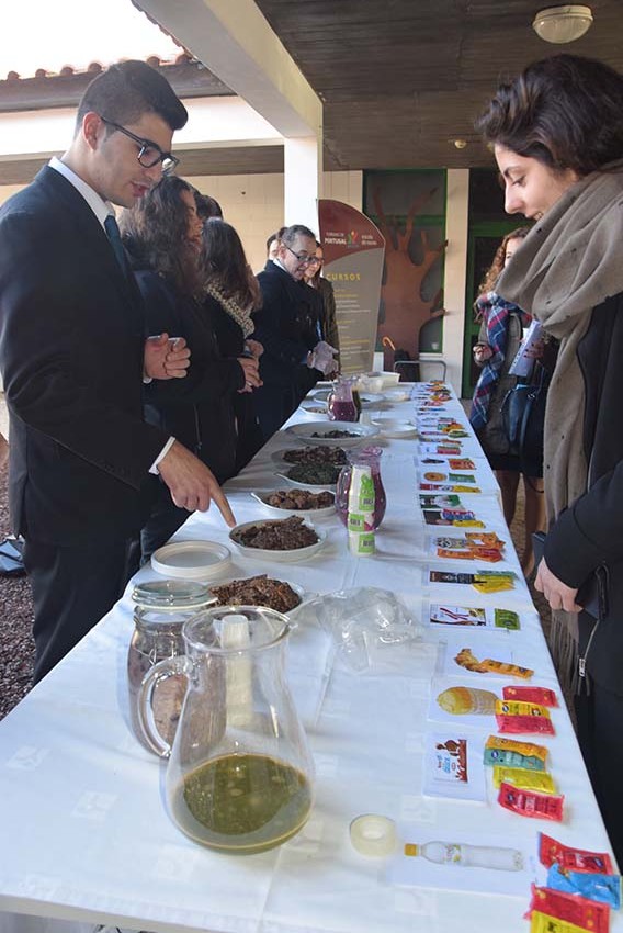 notícias das Caldas