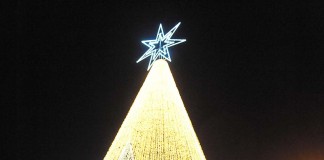 “Quer ajudar os escuteiros a irem ao Vaticano? Tire uma fotografia junto à Árvore de Natal!” Escuteiros