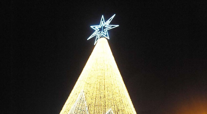 “Quer ajudar os escuteiros a irem ao Vaticano? Tire uma fotografia junto à Árvore de Natal!” Escuteiros