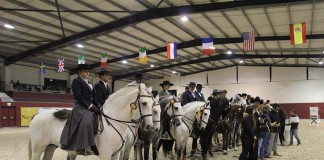 Equitação de Trabalho no CEIA Equitação