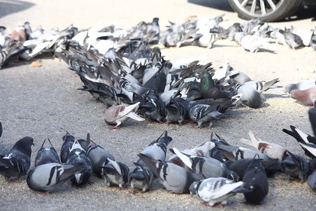 Not&iacute;cias das Caldas