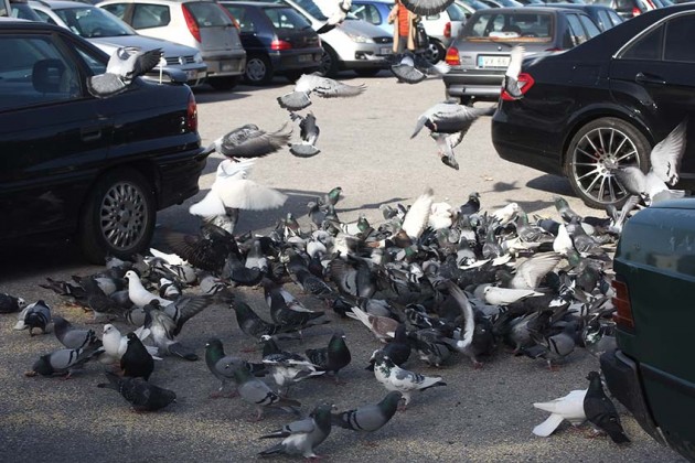 Not&iacute;cias das Caldas