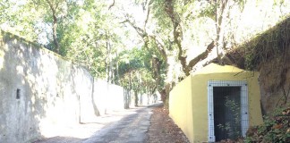 Rua Ernestina Martins Pereira