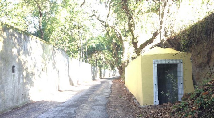 Alargamento da rua que circunda a Mata é proibido por lei Rua Ernestina Martins Pereira