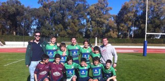 Os pelicanos mais jovens em bom plano em Lisboa notícias das Caldas