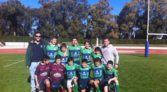 Os pelicanos mais jovens em bom plano em Lisboa notícias das Caldas