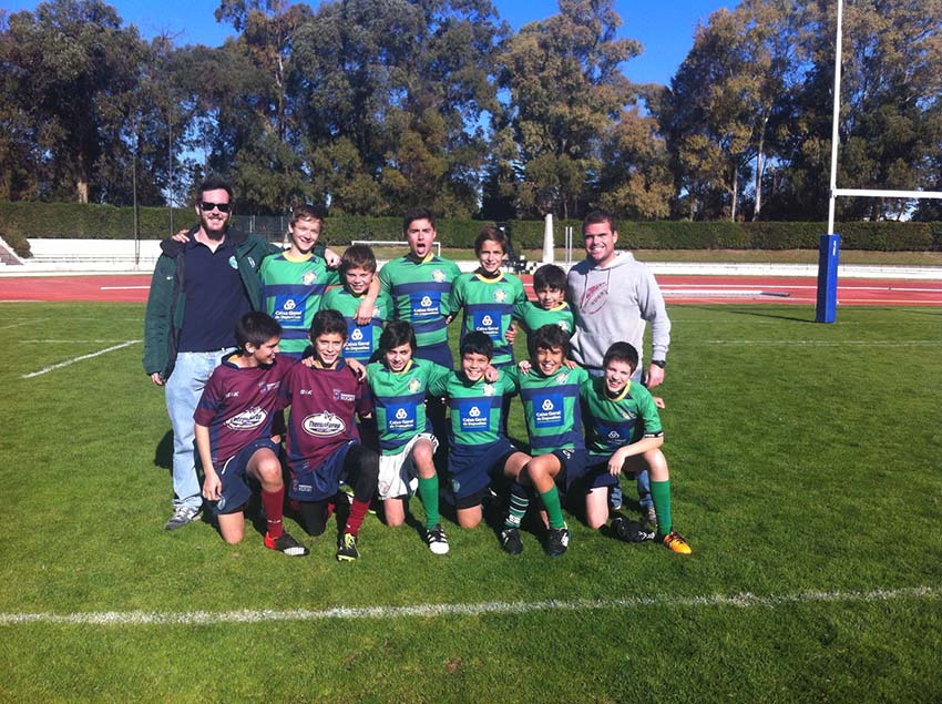 Os pelicanos mais jovens em bom plano  em Lisboa