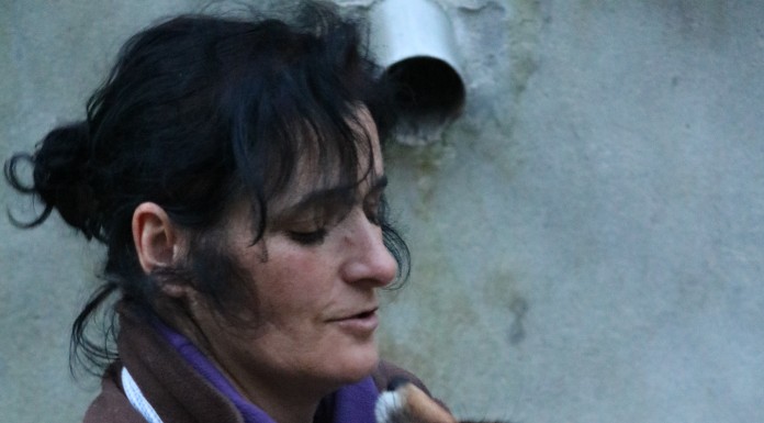 CRAS Montejunto – recuperar animais selvagens na serra para os devolver à natureza Noticias das Caldas