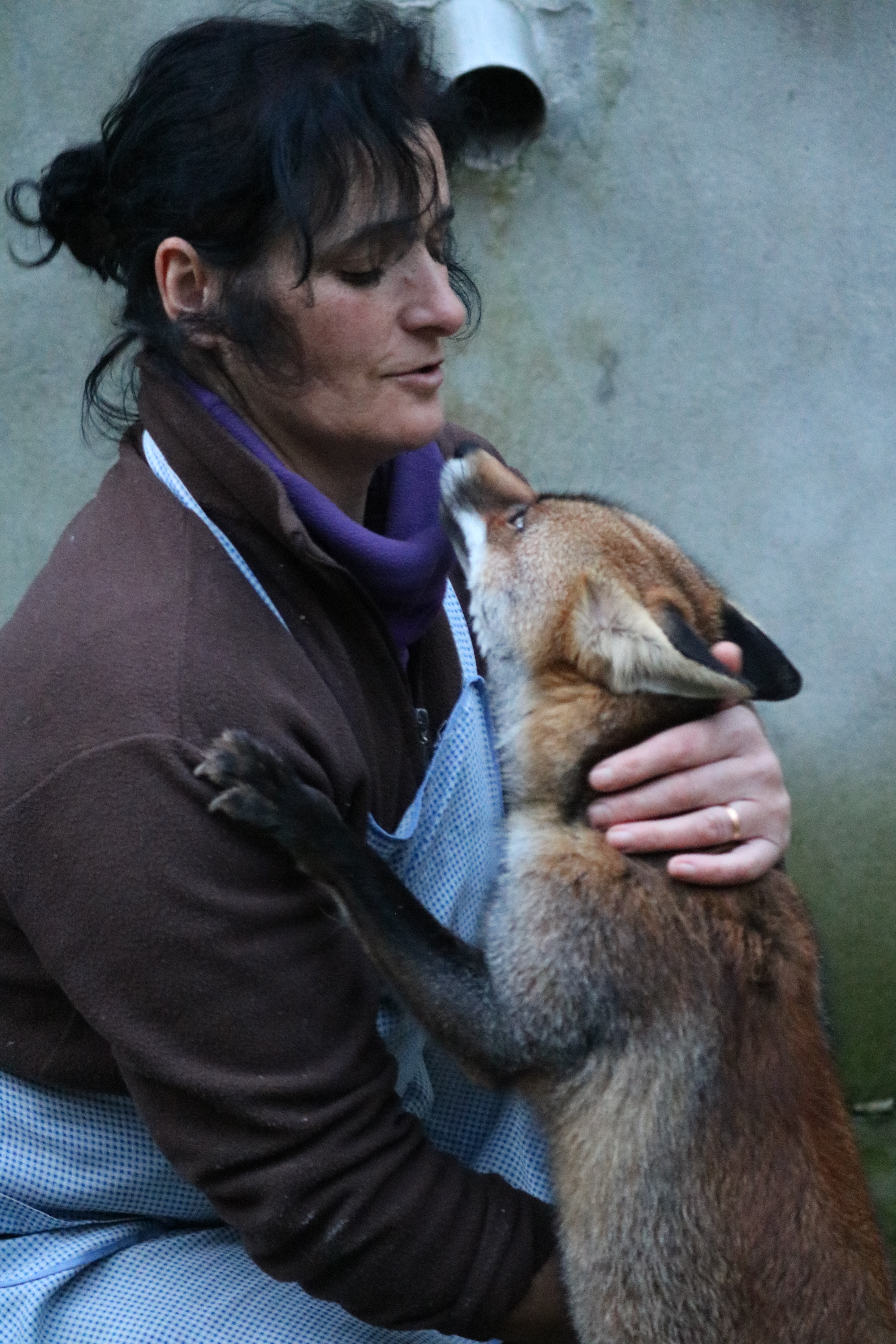 CRAS Montejunto – recuperar animais selvagens na serra para os devolver à natureza