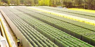 Cimenteira de Pataias produz microalgas para diminuir níveis de poluição notícias das Caldas