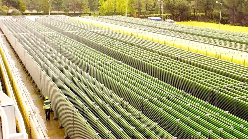 notícias das Caldas