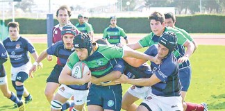 notícias das caldas