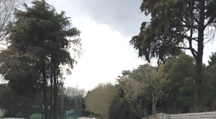 A reconstrução do muro da Mata Rainha D. Leonor notícias das Caldas