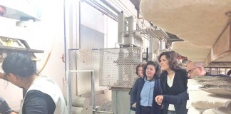 Assunção Cristas destaca exemplo da Molde para o crescimento da economia notícias das Caldas