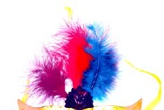 No Carnaval no Oeste, não faltam propostas notícias das Caldas