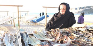 Um museu vivo na Nazaré dedicado ao peixe seco Noticias das Caldas