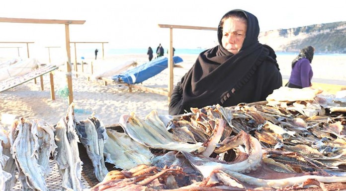 Um museu vivo na Nazaré dedicado ao peixe seco Noticias das Caldas