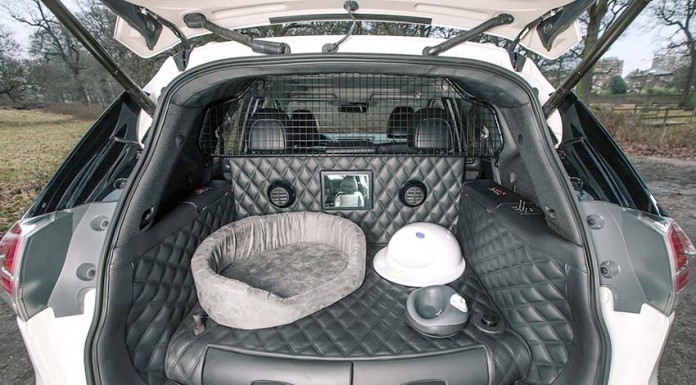 Nissan cria X-Trail a pensar nos cães e nos seus donos Notícias das Caldas