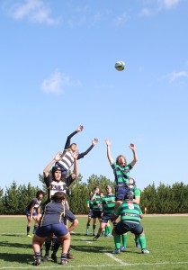 notícias das Caldas