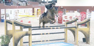 Matos de Almeida volta a triunfar no CEIA Notícias das Caldas