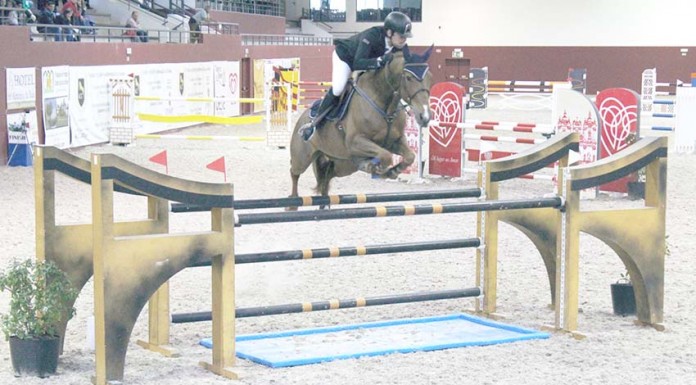 Matos de Almeida volta a triunfar no CEIA Notícias das Caldas