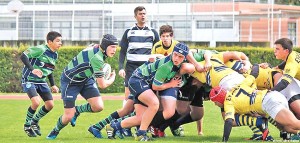 notícias das Caldas