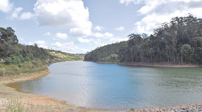 Barragem de Alvorninha cede água aos agricultores
