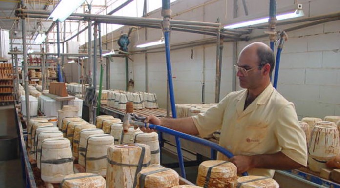 Desemprego continua a descer mas há mais jovens sem trabalho na região