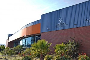 notícias das Caldas