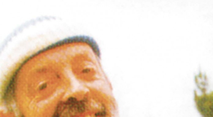 Amigos preparam livro de homenagem a Amado Silva notícias das Caldas