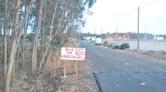 Uma “rua da vergonha” na Zona Industrial Obras, alcatrão, requalificação