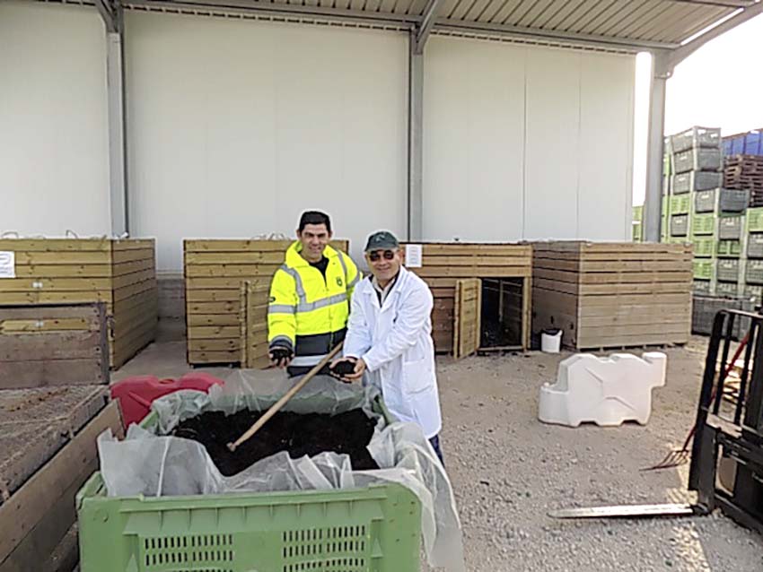 Restos da central fruteira são usados como fertilizante