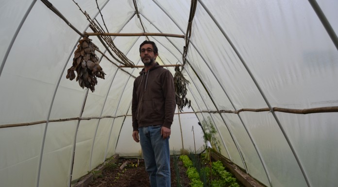 Quando uma câmara frigorífica de fruta se transforma numa casa noticias das Caldas