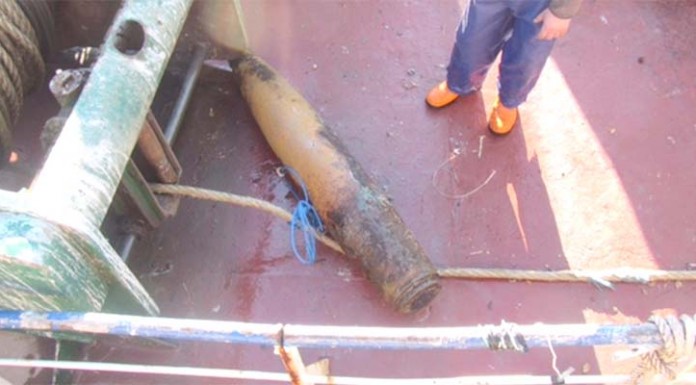 Uma bomba pescada na Nazaré Noticias das Caldas