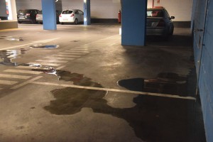 notícias das Caldas