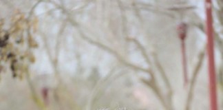 Duatlo de Torres Vedras Notícias das Caldas