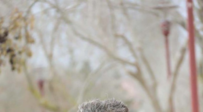 Duatlo de Torres Vedras Notícias das Caldas