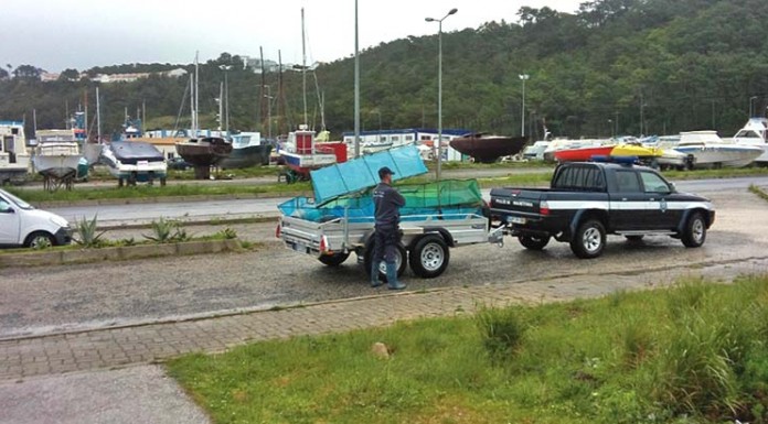 Combate à pesca ilegal na região notícias das Caldas