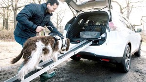 Nissan X-Trail, Dog | D.R.